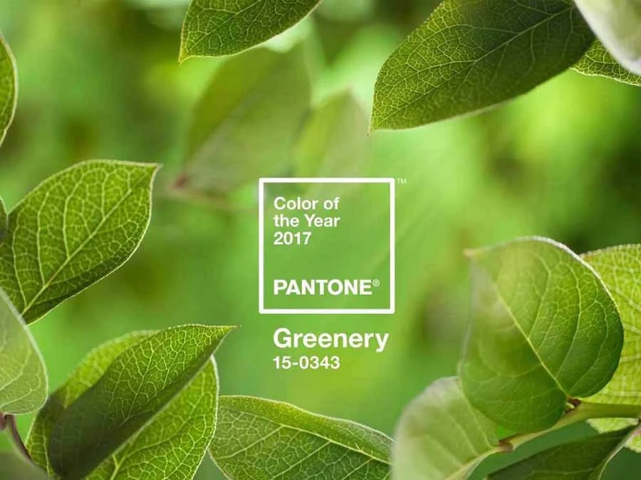 Pantone elegge il colore dell'anno 2017: PANTONE 15-0343 Greenery